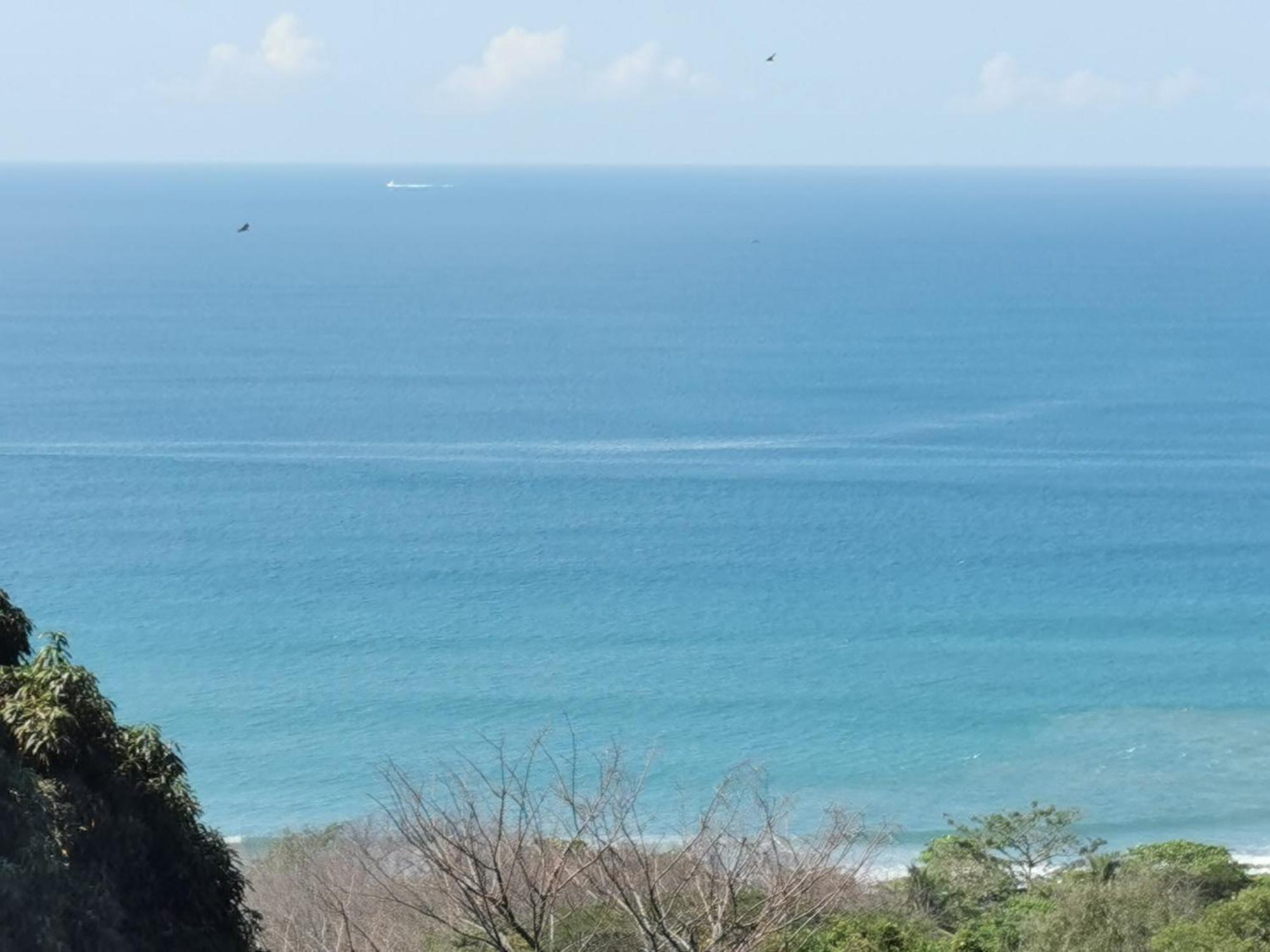 Casa Luna - Private Suites With Ocean View, Pool, Ac, Wifi Playa Santa Teresa  Luaran gambar